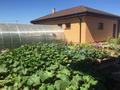 Отдельный дом · 6 комнат · 500 м² · 10 сот., Нура-Ишим 42 — Вдоль канала Нура-Ишим за 105 млн ₸ в Косшы — фото 25