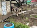 Жеке үй · 4 бөлме · 94.1 м² · 6 жүзд., Исатай Батыра 56, бағасы: 31.6 млн ₸ в Уральске — фото 24