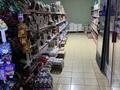 Магазины и бутики • 150 м² за 200 млн 〒 в Узынагаш — фото 8