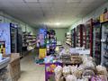 Магазины и бутики • 150 м² за 200 млн 〒 в Узынагаш — фото 9