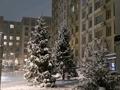 1-бөлмелі пәтер · 32 м² · 5/12 қабат, Сейфуллина 416 — Макатаева, бағасы: 3 500 ₸ в Алматы, Алмалинский р-н — фото 7