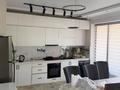 Отдельный дом · 5 комнат · 290 м² · 80 сот., Кенесарыхан 126 — Район нового роддома за 70 млн ₸ в Узынагаш — фото 9
