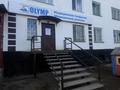 Свободное назначение · 59 м² за 19 млн ₸ в Макинске