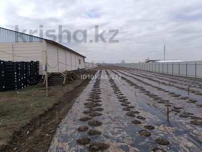Тепличное хозяйства · 10000 м² за 200 млн 〒 в Талгаре