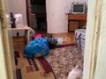 Отдельный дом · 3 комнаты · 50 м², мкр Алгабас, Баршын 14 за 80 000 〒 в Алматы, Алатауский р-н