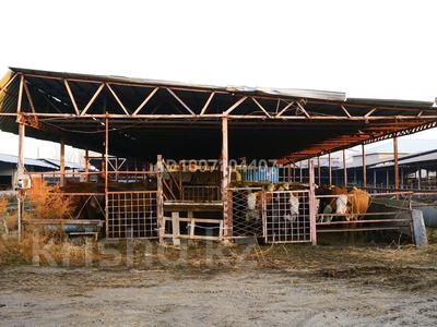 Сельское хозяйство · 950 м² за 450 млн 〒 в 