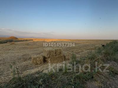 Участок · 1154 сотки, мкр Алгабас — ТЭЦ-2, поле. за 600 млн ₸ в Алматы, Алатауский р-н