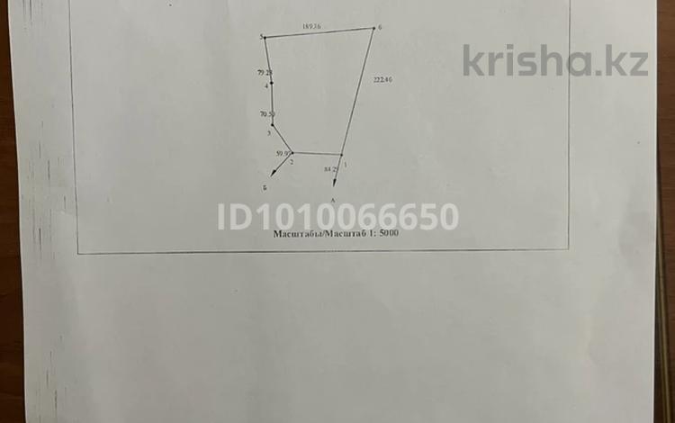 Жер телімі · 3 га, Уч.кварт.001, уч 1242 — Каскасу, бағасы: 500 млн ₸ — фото 15