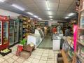 Магазины и бутики • 240 м² за 32 млн 〒 в Семее — фото 19