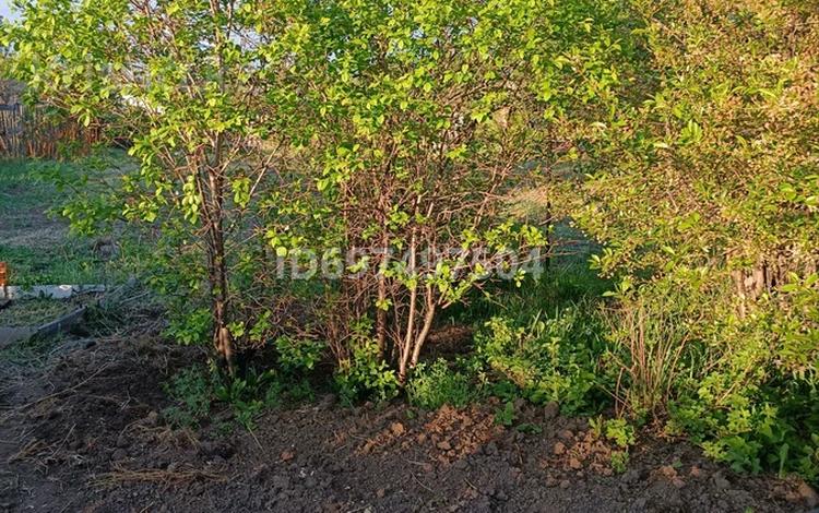 Дача · 1 комната · 30 м² · 6 сот., мкр Фёдоровка , Кленовая 12 — Начало Кленовая дальше Черемуховая за 2 млн 〒 в Караганде, Казыбек би р-н — фото 13