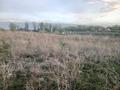 Жер телімі · 6 сотық, Жалпаксай, бағасы: 3.5 млн ₸ — фото 2