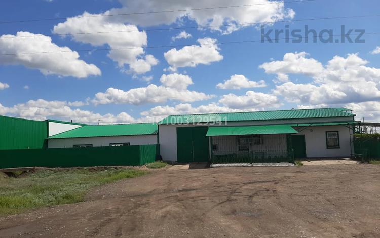 Базу и овощехранилище · 2000 м² за 95 млн ₸ в Уральске, мкр. Зачаганск пгт — фото 6