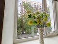 2-комнатная квартира · 53.4 м² · 4/5 этаж, Жибек жолы — Наурызбай батыра за ~ 52 млн ₸ в Алматы, Алмалинский р-н — фото 11