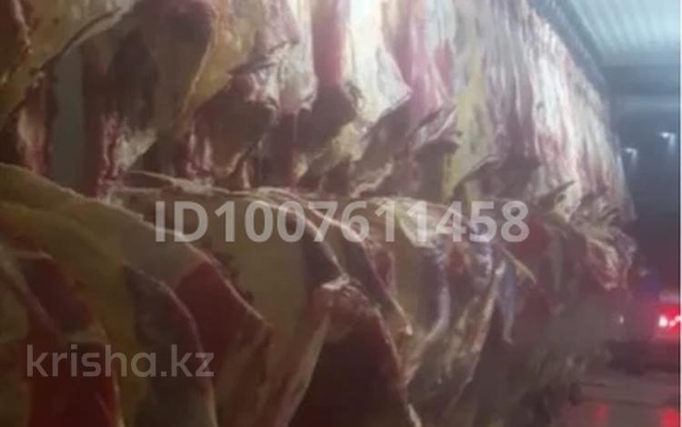 Сельское хозяйство · 2000 м² за 350 млн ₸ в Павлодаре — фото 2