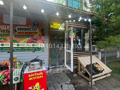 Еркін, қоғамдық тамақтану орны · 39 м², бағасы: 200 000 ₸ в Астане, Алматы р-н