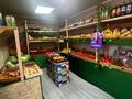 Еркін, қоғамдық тамақтану орны · 39 м², бағасы: 200 000 ₸ в Астане, Алматы р-н — фото 5