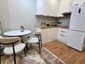 1-комнатная квартира · 30 м² · 4/17 этаж, Ауэзова за 250 000 ₸ в Алматы, Алмалинский р-н — фото 4