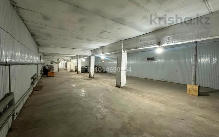 Промбаза · 6 га, Достык 4Д за 1 650 ₸ в Каскелене — фото 3