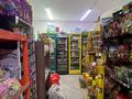 Жеке үй · 5 бөлме · 286 м² · 10 жүзд., Ешекеева 39, бағасы: 150 млн ₸ в Семее — фото 21