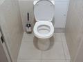 1-бөлмелі пәтер · 43 м² · 10/10 қабат, Жибек Жолы 11, бағасы: 22 млн ₸ в Усть-Каменогорске — фото 19