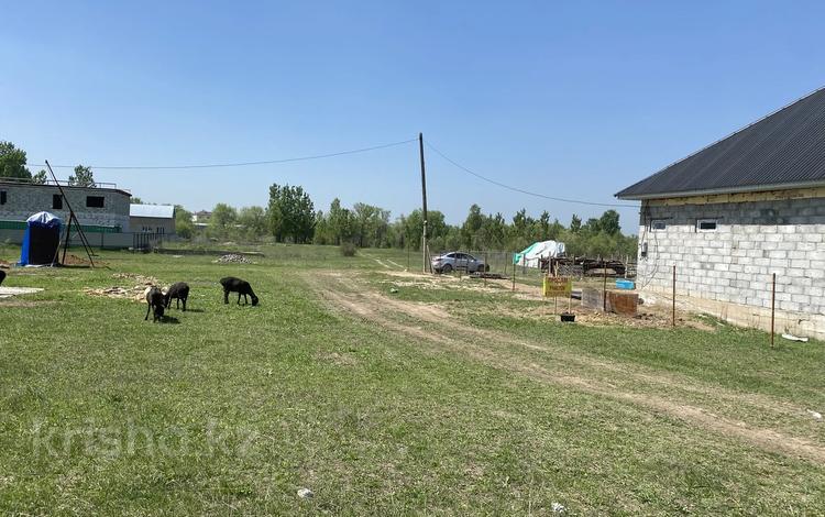 Жер телімі · 6 сотық, Карасай, бағасы: 3.8 млн ₸ в Каскелене — фото 2