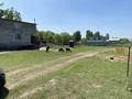 Жер телімі · 6 сотық, Карасай, бағасы: 3.8 млн ₸ в Каскелене — фото 3