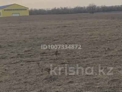 Жер телімі · 4 га, Арна, бағасы: 120 млн ₸ в Конаеве