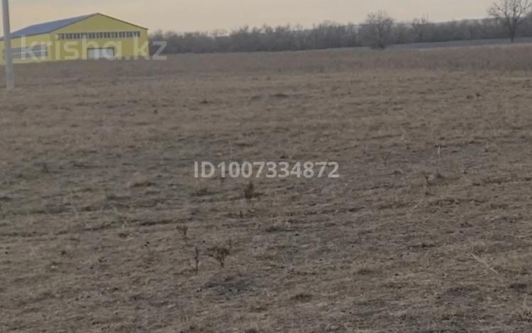 Участок · 4 га, Арна за 120 млн ₸ в Конаеве — фото 6