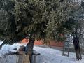 Отдельный дом · 4 комнаты · 110 м² · 8 сот., Дробышева 22/2 — 23 микрорайон за 30 млн ₸ в Усть-Каменогорске, Меновное — фото 8