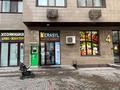 2-комнатная квартира · 50 м² · 8/12 этаж, Торайгырова 21/1 — Мустафина за 22 000 ₸ в Алматы, Бостандыкский р-н — фото 12