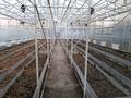 Жеке үй · 3 бөлме · 70 м² · 28 жүзд., улица Агибаева, бағасы: 35.5 млн ₸ в Улане — фото 18