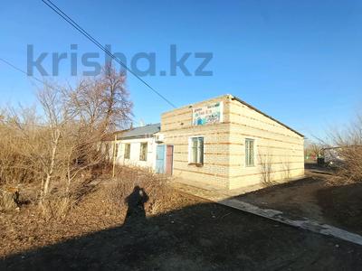 Магазин с товаром в деревне · 150 м² за 7.5 млн ₸ в Денисовке