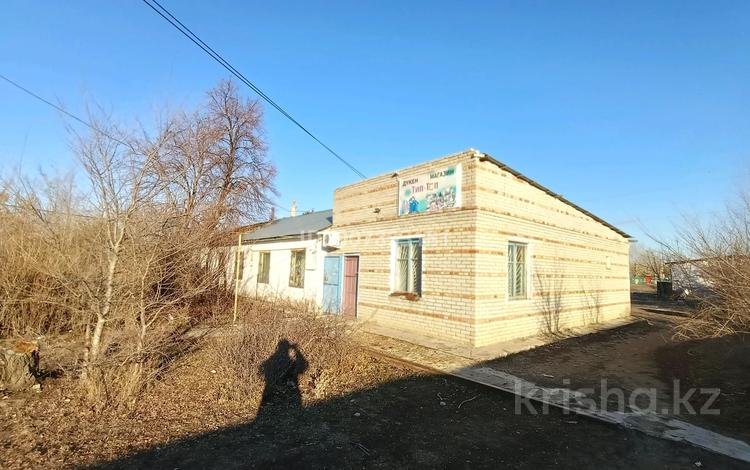 Магазин с товаром в деревне · 150 м² за 7.5 млн ₸ в Денисовке — фото 2