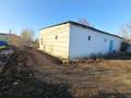 Магазин с товаром в деревне · 150 м² за 7.5 млн ₸ в Денисовке — фото 2