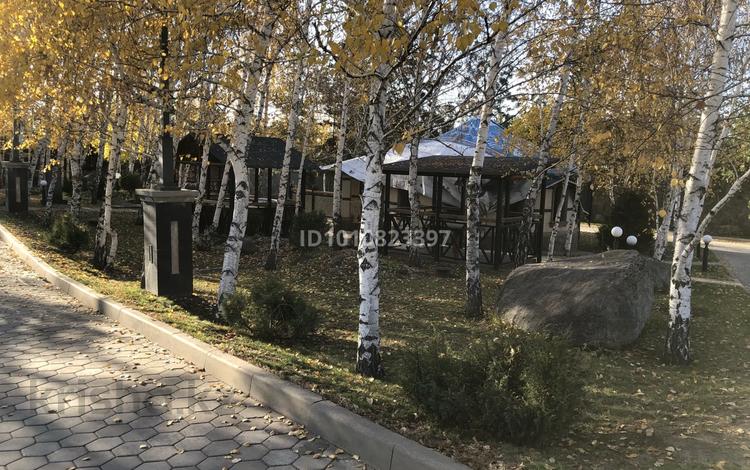 Участок · 100 соток, мкр Юбилейный за 1.8 млрд ₸ в Алматы, Медеуский р-н — фото 2