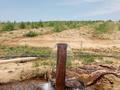Сельское хозяйство · 300 м² за 450 млн ₸ в Жибек Жолы — фото 37