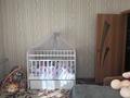 Часть дома · 4 комнаты · 74.1 м² · 5 сот., Молодежная 18-1 за 16.5 млн ₸ в Затобольске (Тобыле) — фото 4