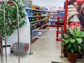 Магазины и бутики • 260 м² за 200 млн 〒 в Павлодаре — фото 3