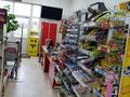 Магазины и бутики • 260 м² за 170 млн 〒 в Павлодаре — фото 11