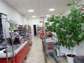 Магазины и бутики • 260 м² за 170 млн 〒 в Павлодаре — фото 2