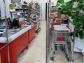 Магазины и бутики • 260 м² за 170 млн 〒 в Павлодаре — фото 6