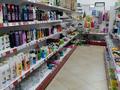 Магазины и бутики • 260 м² за 170 млн 〒 в Павлодаре — фото 7