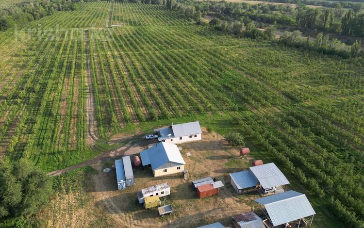 Яблоневый сад · 400 м² за 350 млн 〒 в  — фото 2