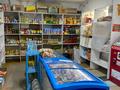 Магазины и бутики · 160 м² за 32.5 млн 〒 в Алматы, Алатауский р-н