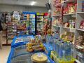 Магазины и бутики · 160 м² за 32.5 млн 〒 в Алматы, Алатауский р-н — фото 2
