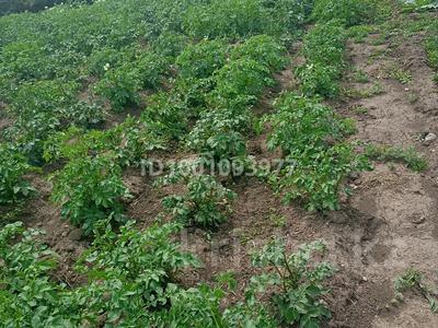 Дача · 2 комнаты · 21 м² · 8 сот., Восточник Южный 153 — Акимовка. напротив п. Касыма Кайсенова за 1 млн 〒 в им. Касыма кайсеновой