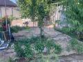 Жеке үй · 4 бөлме · 100 м² · 6 жүзд., Сарымолдаева 12 — Прманова, Сыздыкова, бағасы: 20 млн ₸ в Таразе — фото 17