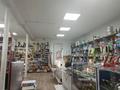 Магазины и бутики • 300 м² за 55 млн 〒 в Караганде, Алихана Бокейханова р-н — фото 15