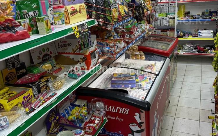 Еркін, дүкендер мен бутиктер · 55 м², бағасы: 18 млн ₸ в Астане, Сарыарка р-н — фото 2
