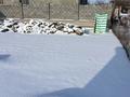 Участок · 6 соток, Ромашка 141/1 за 5 млн ₸ в Шубарсу — фото 21